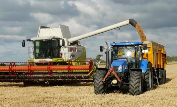 Jak skutecznie prowadzić rozród w stadzie bydła mlecznego